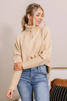 A Cozy Staple Turtle Neck Sweater | Taupe