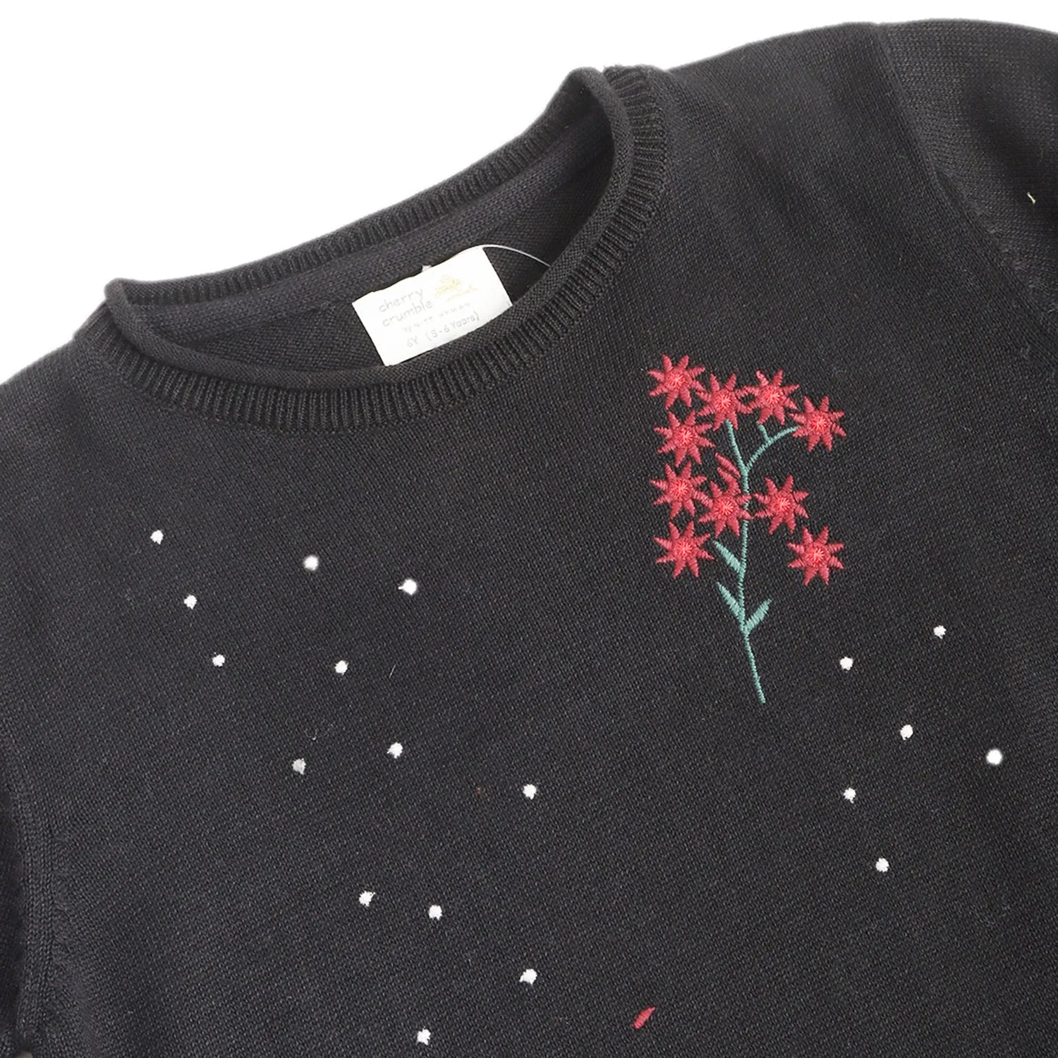 Berry Embellished Sweater